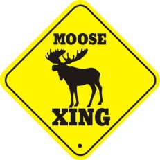 Moose _Cross