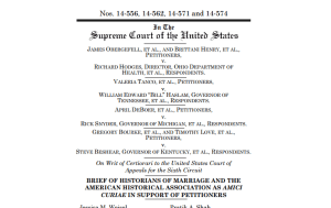 scotus-obergefell-aha